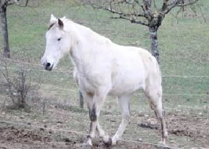 Gite de Fontepaisse